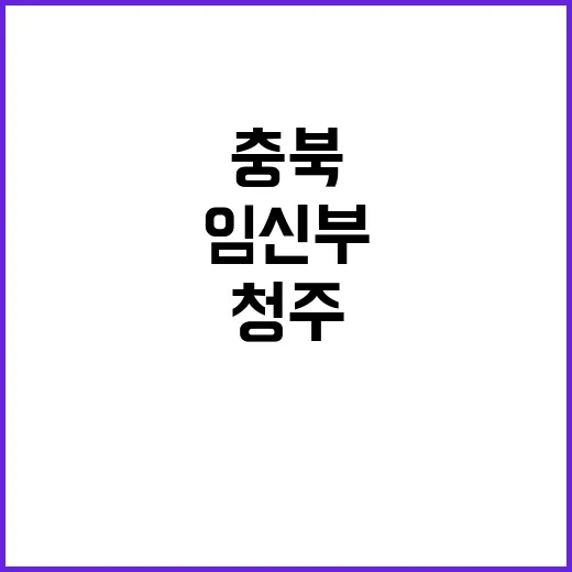 충북 청주 임신부 안정 상태 유지 중 사실 공개!