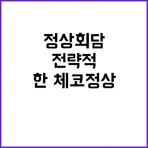 전략적 파트너십 한·체코 정상회담의 새로운 시대!