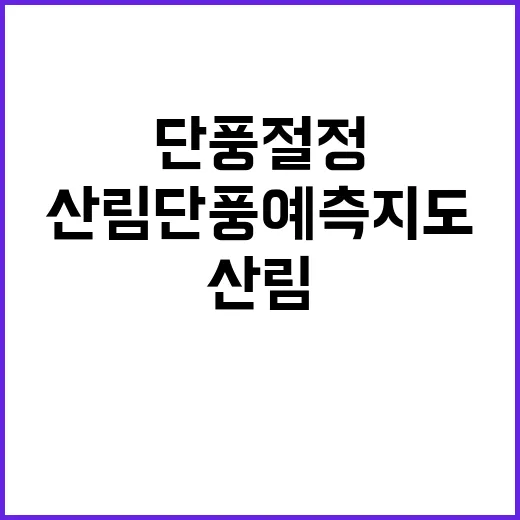 단풍 절정 산림단풍…