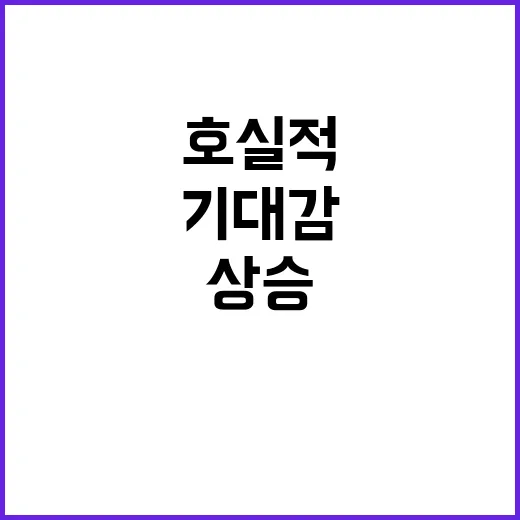 수출 호실적 12개…