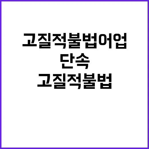 고질적 불법어업 드론으로 단속 강화되는 이유!