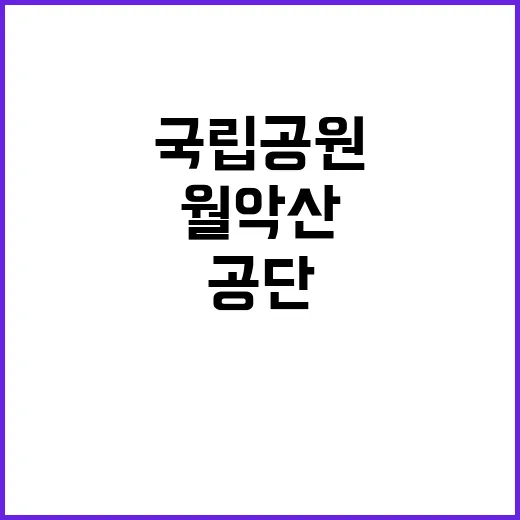 국립공원공단 비정규…