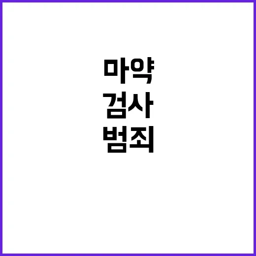 마약 검출기 항공편…