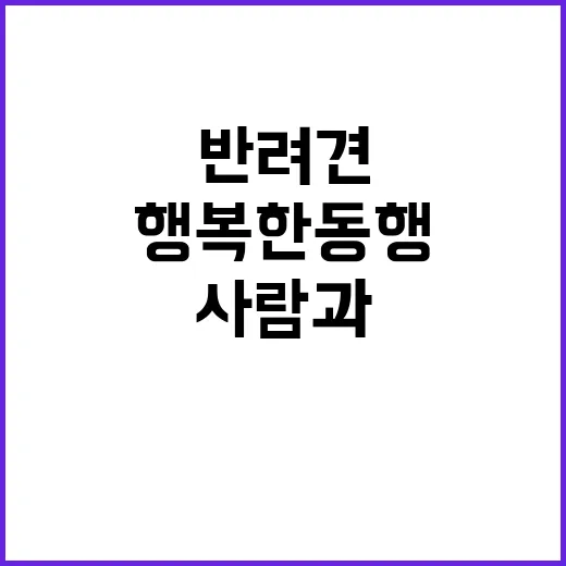 행복한 동행 사람과 반려견의 특별한 이야기!