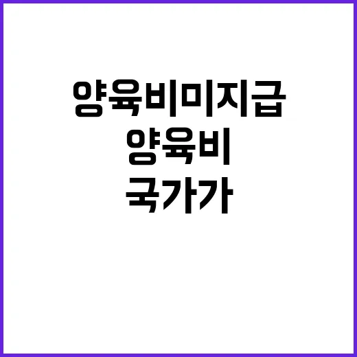 양육비 미지급 국가가 대신 지급한다! 내년부터!