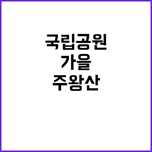 국립공원공단 비정규…