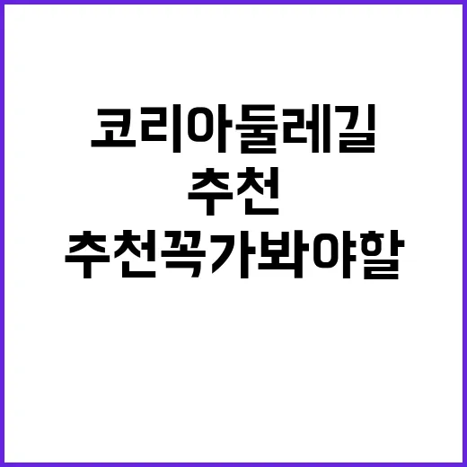 코리아둘레길 추천 …