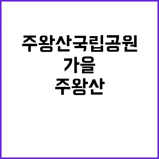 국립공원공단 비정규…