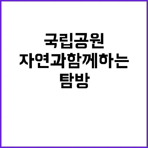 국립공원공단 비정규…