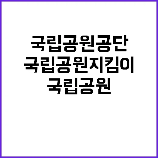 국립공원공단 비정규…