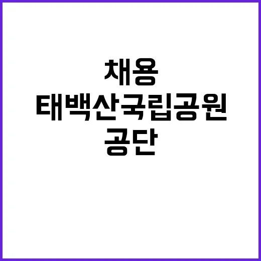 국립공원공단 비정규…