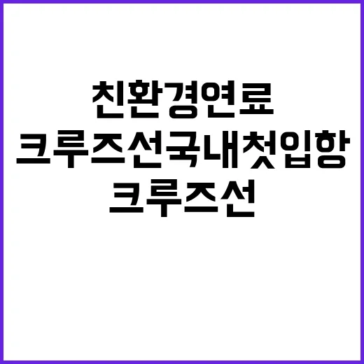 친환경연료 크루즈선…