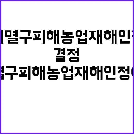 벼멸구 피해 농업재해 인정 여부 공개 결정!