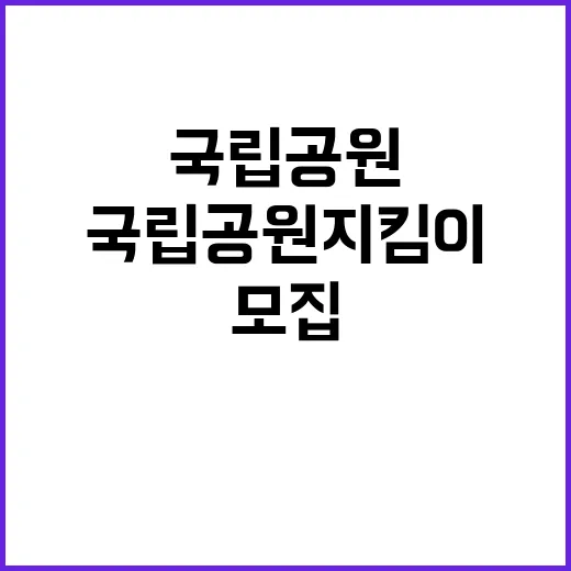 국립공원공단 비정규…