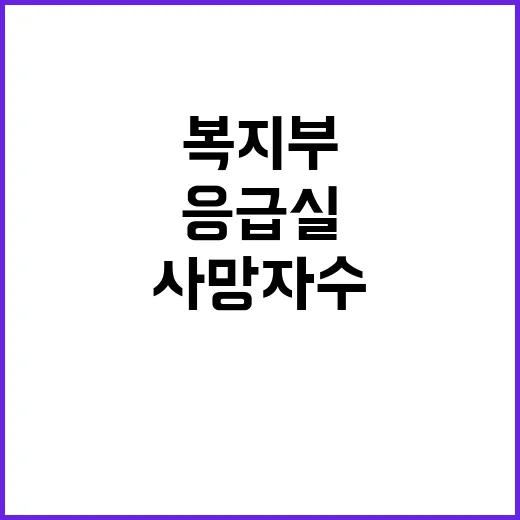 응급실 사망자 수 복지부의 충격적 입장 공개!