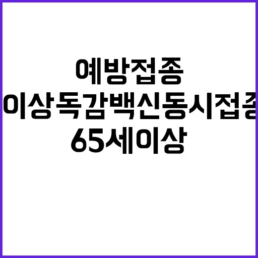 예방접종 65세 이상 독감 백신 동시 접종 권고!