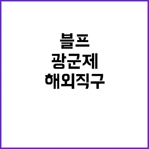 해외직구 단속 광군제 블프 특별조사 시작!