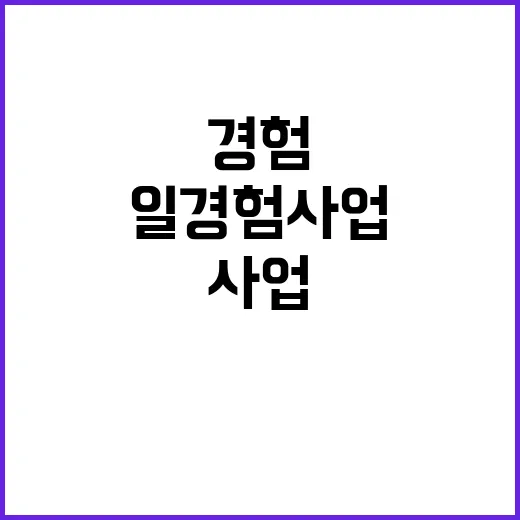 고용부 “일경험 사…