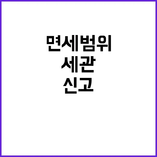 면세범위 구입 세관…