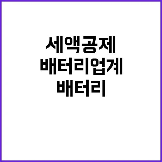 신규 세액공제 국내 배터리 업계의 희망 열쇠!