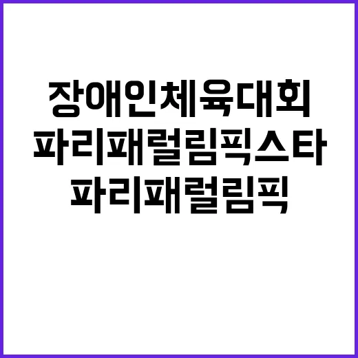 장애인체육대회 파리 패럴림픽 스타 한자리에!