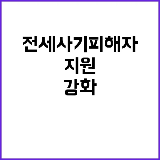 전세사기피해자 12…