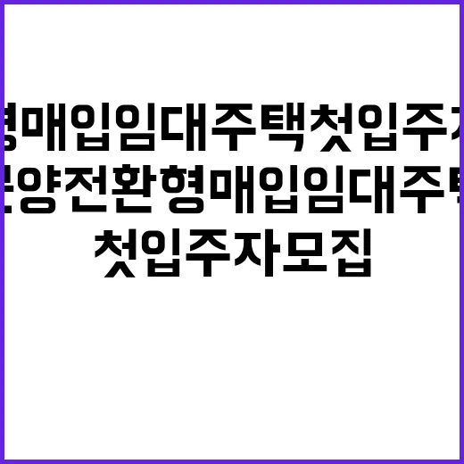 분양전환형 매입임대…