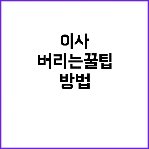 이사 방법 버리는 꿀팁 공개!