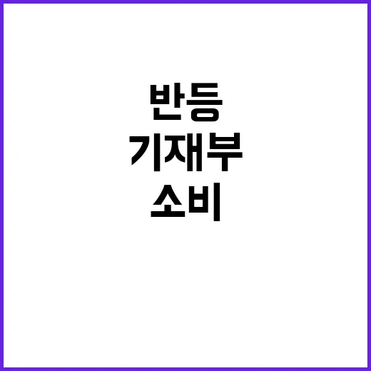 민간소비 반등 기재부의 놀라운 사실 공개!