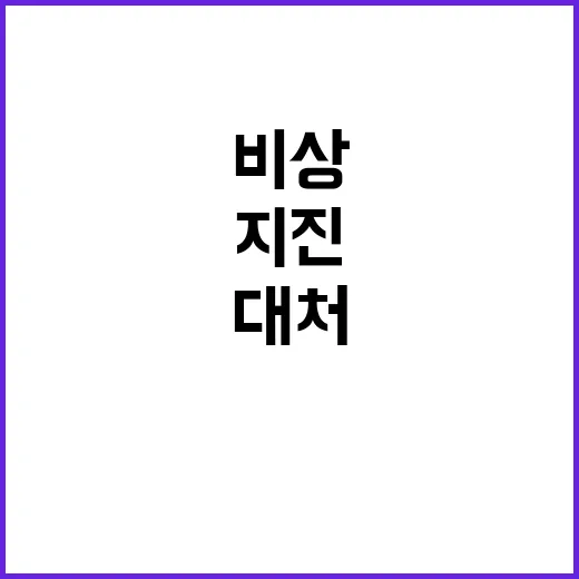 지진 비상대처계획 …