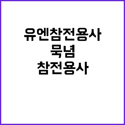 유엔참전용사 묵념 보훈부 강제성 없다! 클릭하세요!