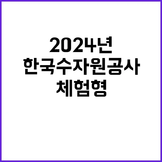 2024년 하반기 체험형 인턴 채용공고