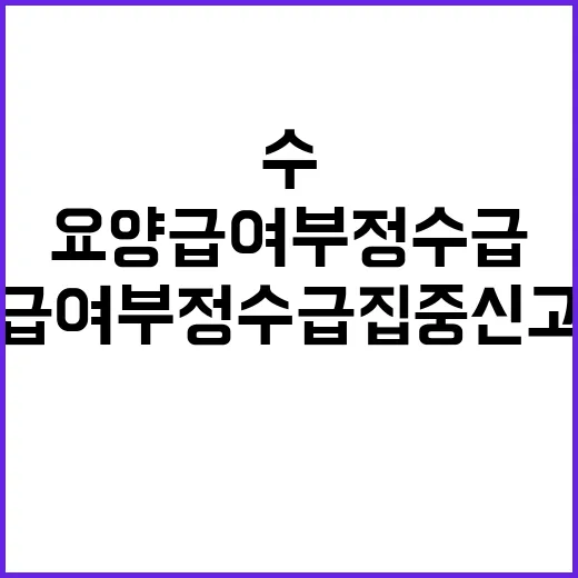 “요양급여 부정수급…