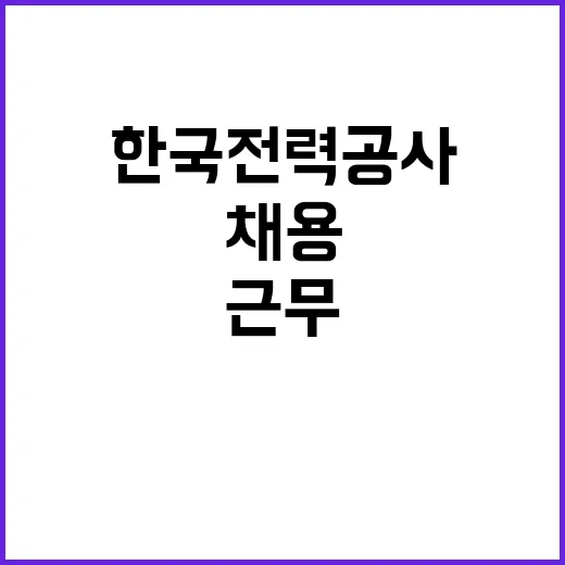 한국전력공사 비정규…