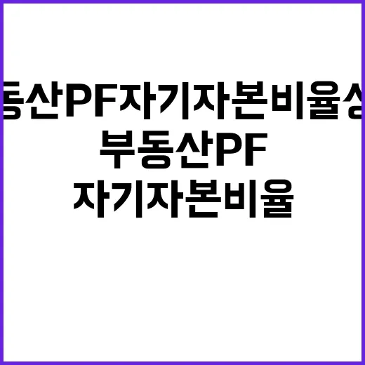 부동산 PF 자기자…