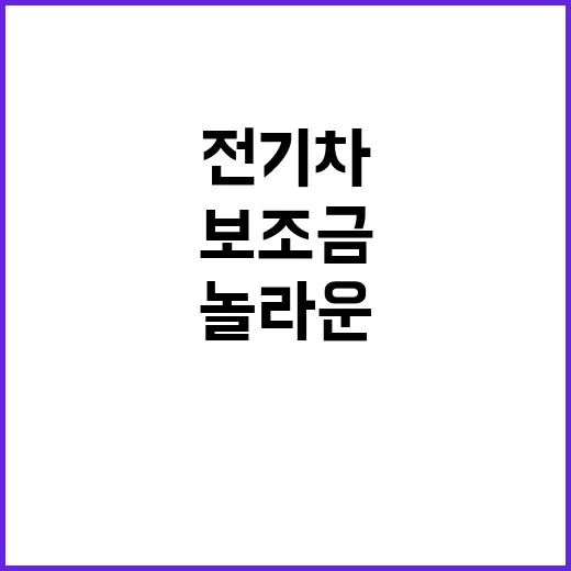 전기차 보조금 산업…