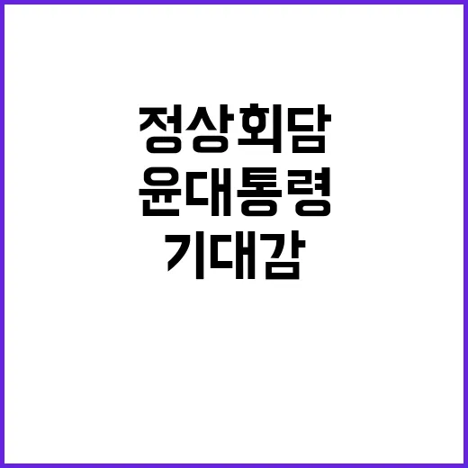 정상회담 윤 대통령…