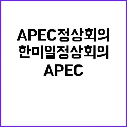 APEC 정상회의 …