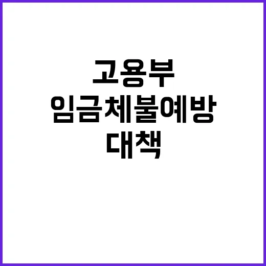 임금체불 예방 고용…