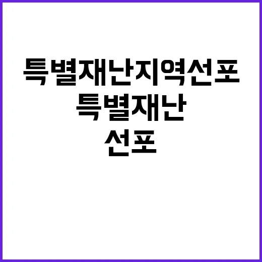 특별재난지역 선포 …