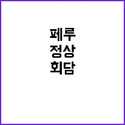 회담 한·페루 정상…