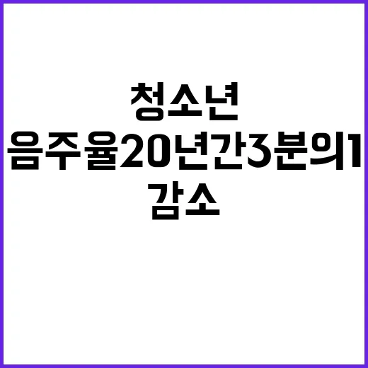 청소년 음주율 20…