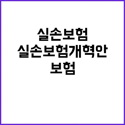 금융위 실손보험 개혁안 미확정 사실 공개!