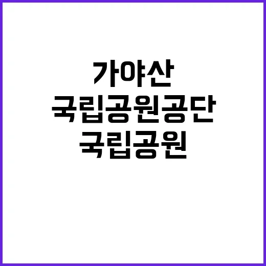 [가야산] 2025년 가야산국립공원사무소 국립공원지킴이(녹색순찰대) 모집 공고