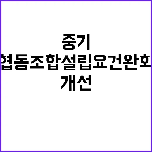 중기 협동조합 설립…