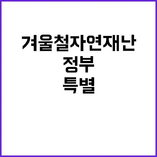 겨울철 자연재난 정부의 특별한 지원 방안 공개!