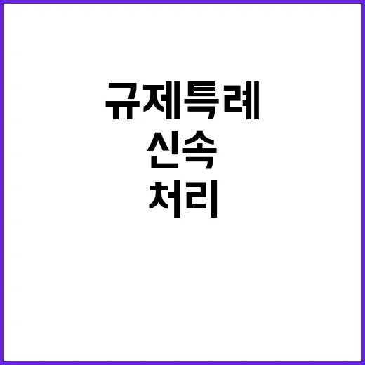 금융위 규제 특례 신속 처리 사실 전격 공개!