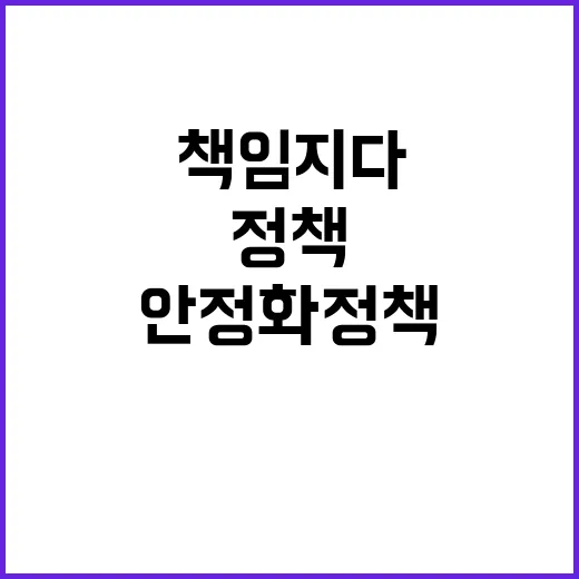 안정화 정책 국가 …