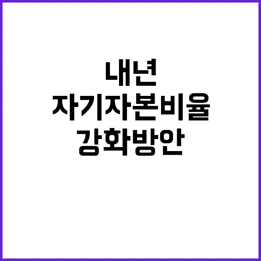 “자기자본 비율 내년 상반기 강화 방안 공개!”