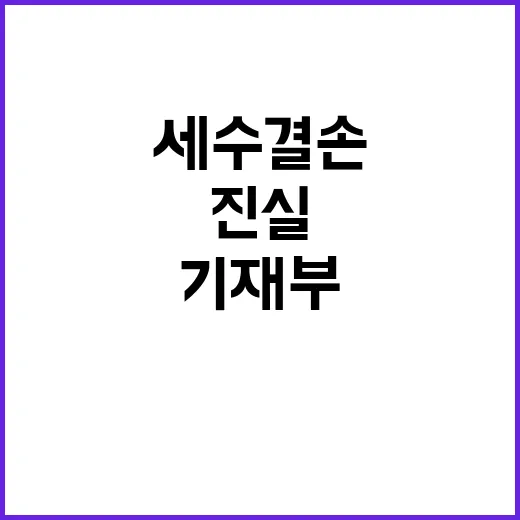 국가채무 세수결손 …